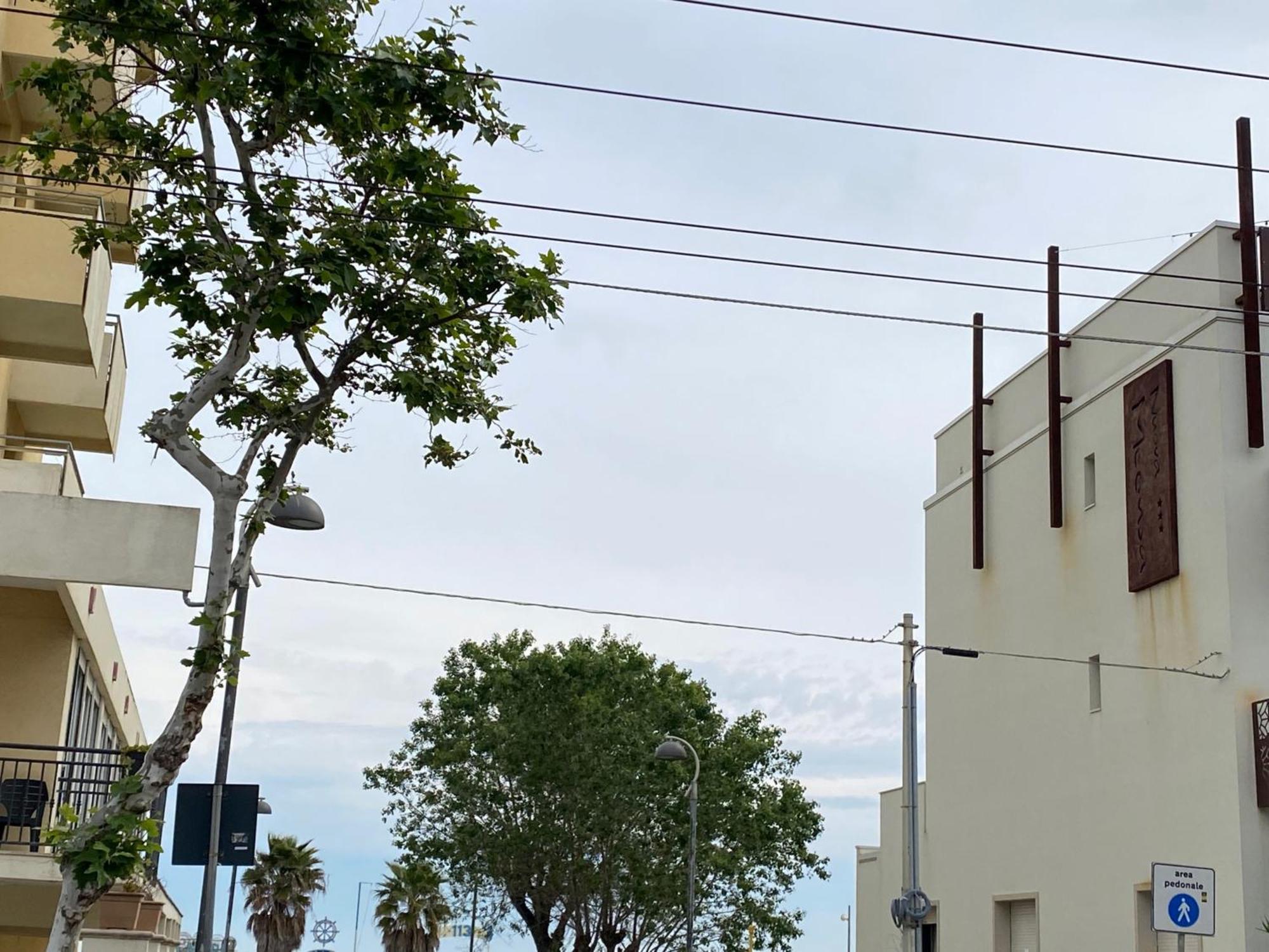 Hotel Piccari Nuova Gestione Rimini Buitenkant foto